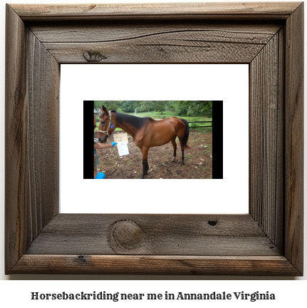 horseback riding near me in Annandale, Virginia